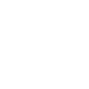 Auto Mini